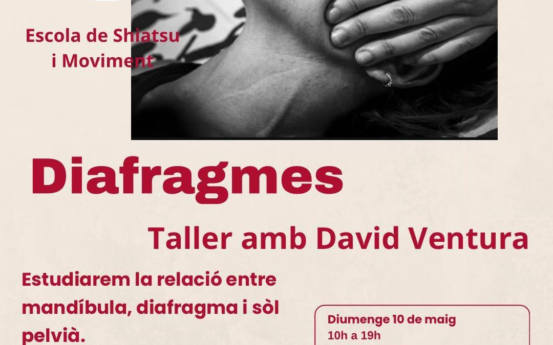 Taller de diafragma