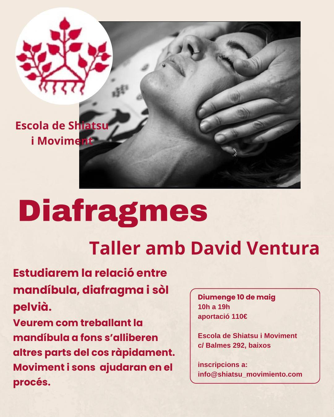 Taller de diafragma